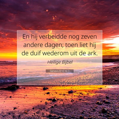 Picture 07 - Genesis 8:10 NLD - En hij verbeidde nog zeven andere dagen; toen - Bible Verse Picture