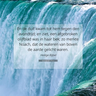 Picture 07 - Genesis 8:11 NLD - En de duif kwam tot hem tegen den avondtijd; en - Bible Verse Picture