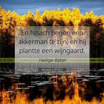 Picture 07 - Genesis 9:20 NLD - En Noach begon een akkerman te zijn, en hij - Bible Verse Picture