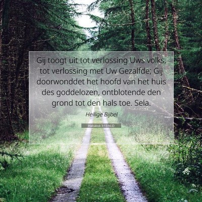 Picture 07 - Habakuk 3:13 NLD - Gij toogt uit tot verlossing Uws volks, tot - Bible Verse Picture