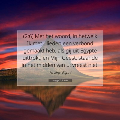 Picture 07 - Haggaï 2:5 NLD - (2:6) Met het woord, in hetwelk Ik met ulieden - Bible Verse Picture