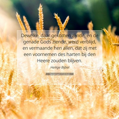 Picture 07 - Handelingen 11:23 NLD - Dewelke, daar gekomen zijnde, en de genade Gods - Bible Verse Picture