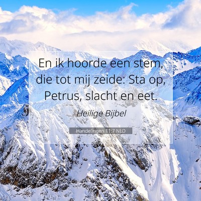 Picture 07 - Handelingen 11:7 NLD - En ik hoorde een stem, die tot mij zeide: Sta op, - Bible Verse Picture