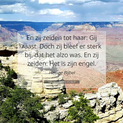 Picture 07 - Handelingen 12:15 NLD - En zij zeiden tot haar: Gij raast. Doch zij bleef - Bible Verse Picture