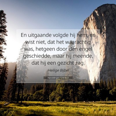Picture 07 - Handelingen 12:9 NLD - En uitgaande volgde hij hem, en wist niet, dat - Bible Verse Picture