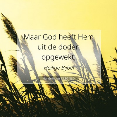 Picture 07 - Handelingen 13:30 NLD - Maar God heeft Hem uit de doden - Bible Verse Picture