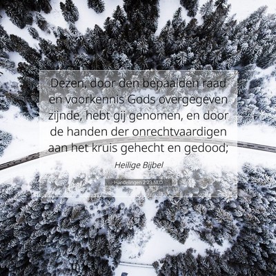 Picture 07 - Handelingen 2:23 NLD - Dezen, door den bepaalden raad en voorkennis Gods - Bible Verse Picture
