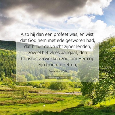 Picture 07 - Handelingen 2:30 NLD - Alzo hij dan een profeet was, en wist, dat God - Bible Verse Picture