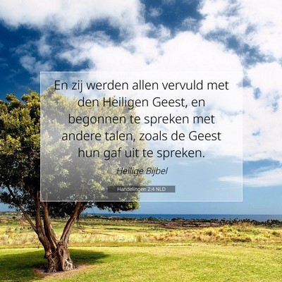 Picture 07 - Handelingen 2:4 NLD - En zij werden allen vervuld met den Heiligen - Bible Verse Picture