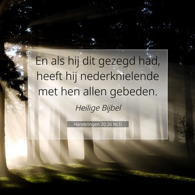 Picture 07 - Handelingen 20:36 NLD - En als hij dit gezegd had, heeft hij - Bible Verse Picture