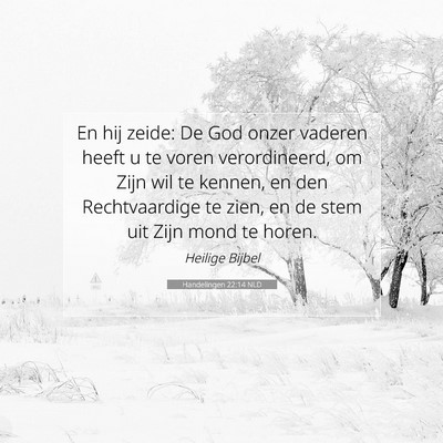 Picture 07 - Handelingen 22:14 NLD - En hij zeide: De God onzer vaderen heeft u te - Bible Verse Picture
