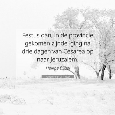 Picture 07 - Handelingen 25:1 NLD - Festus dan, in de provincie gekomen zijnde, ging - Bible Verse Picture