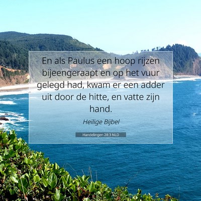 Picture 07 - Handelingen 28:3 NLD - En als Paulus een hoop rijzen bijeengeraapt en op - Bible Verse Picture