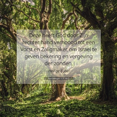 Picture 07 - Handelingen 5:31 NLD - Deze heeft God door Zijn rechter hand verhoogd - Bible Verse Picture