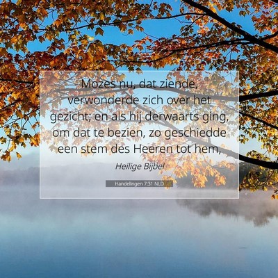 Picture 07 - Handelingen 7:31 NLD - Mozes nu, dat ziende, verwonderde zich over het - Bible Verse Picture
