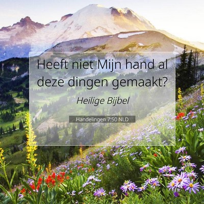 Picture 07 - Handelingen 7:50 NLD - Heeft niet Mijn hand al deze dingen - Bible Verse Picture