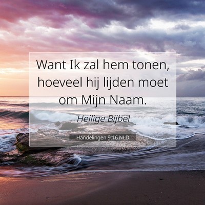 Picture 07 - Handelingen 9:16 NLD - Want Ik zal hem tonen, hoeveel hij lijden moet om - Bible Verse Picture