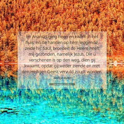 Picture 07 - Handelingen 9:17 NLD - En Ananias ging heen en kwam in het huis; en de - Bible Verse Picture