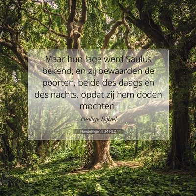 Picture 07 - Handelingen 9:24 NLD - Maar hun lage werd Saulus bekend; en zij - Bible Verse Picture