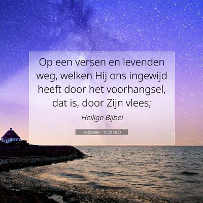 Picture 07 - Hebreeën 10:20 NLD - Op een versen en levenden weg, welken Hij ons - Bible Verse Picture