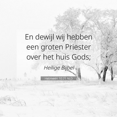 Picture 07 - Hebreeën 10:21 NLD - En dewijl wij hebben een groten Priester over het - Bible Verse Picture
