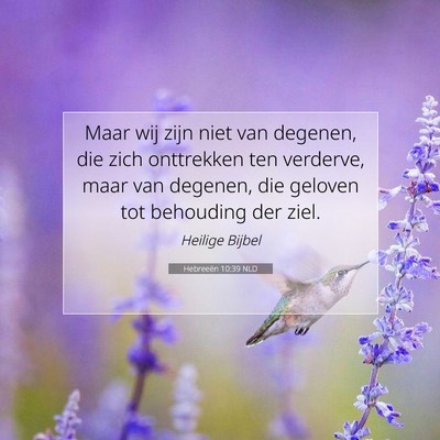 Picture 07 - Hebreeën 10:39 NLD - Maar wij zijn niet van degenen, die zich - Bible Verse Picture