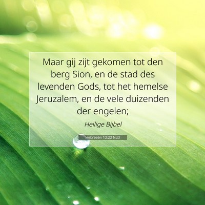 Picture 07 - Hebreeën 12:22 NLD - Maar gij zijt gekomen tot den berg Sion, en de - Bible Verse Picture
