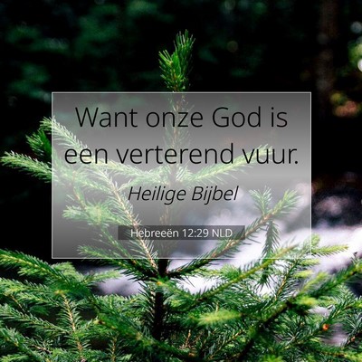 Picture 07 - Hebreeën 12:29 NLD - Want onze God is een verterend - Bible Verse Picture