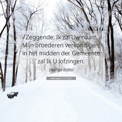 Picture 07 - Hebreeën 2:12 NLD - Zeggende: Ik zal Uw naam Mijn broederen - Bible Verse Picture