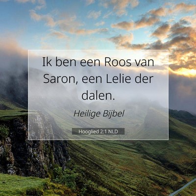 Picture 07 - Hooglied 2:1 NLD - Ik ben een Roos van Saron, een Lelie der - Bible Verse Picture