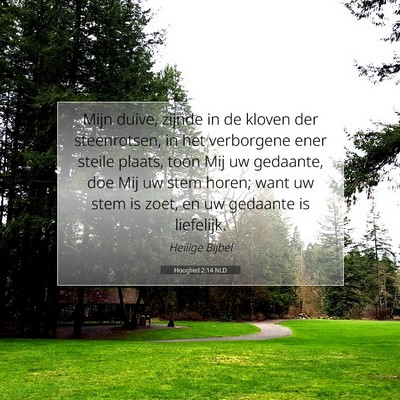 Picture 07 - Hooglied 2:14 NLD - Mijn duive, zijnde in de kloven der steenrotsen, - Bible Verse Picture