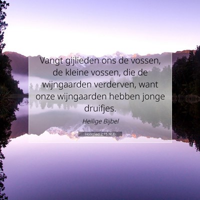 Picture 07 - Hooglied 2:15 NLD - Vangt gijlieden ons de vossen, de kleine vossen, - Bible Verse Picture