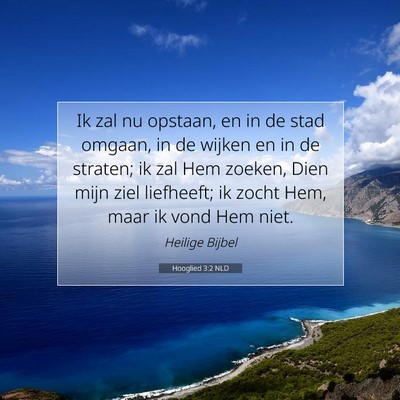 Picture 07 - Hooglied 3:2 NLD - Ik zal nu opstaan, en in de stad omgaan, in de - Bible Verse Picture