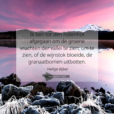 Picture 07 - Hooglied 6:11 NLD - Ik ben tot den notenhof afgegaan om de groene - Bible Verse Picture