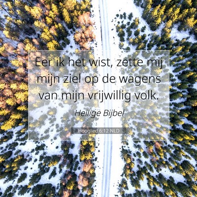 Picture 07 - Hooglied 6:12 NLD - Eer ik het wist, zette mij mijn ziel op de wagens - Bible Verse Picture