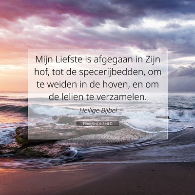 Picture 07 - Hooglied 6:2 NLD - Mijn Liefste is afgegaan in Zijn hof, tot de - Bible Verse Picture