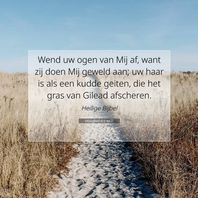 Picture 07 - Hooglied 6:5 NLD - Wend uw ogen van Mij af, want zij doen Mij geweld - Bible Verse Picture