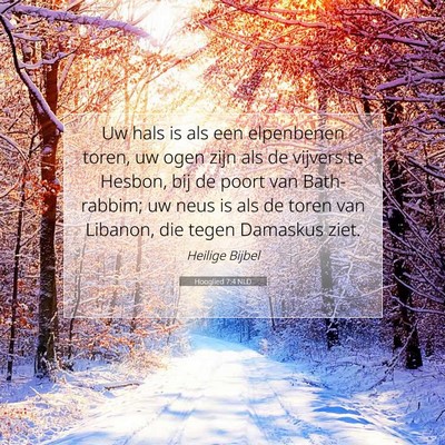 Picture 07 - Hooglied 7:4 NLD - Uw hals is als een elpenbenen toren, uw ogen zijn - Bible Verse Picture