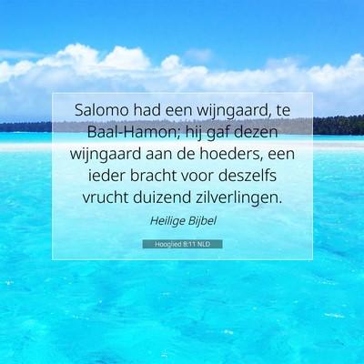 Picture 07 - Hooglied 8:11 NLD - Salomo had een wijngaard, te Baal-Hamon; hij gaf - Bible Verse Picture