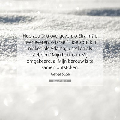 Picture 07 - Hosea 11:8 NLD - Hoe zou Ik u overgeven, o Efraim? u overleveren, - Bible Verse Picture
