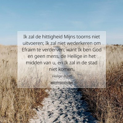 Picture 07 - Hosea 11:9 NLD - Ik zal de hittigheid Mijns toorns niet uitvoeren; - Bible Verse Picture