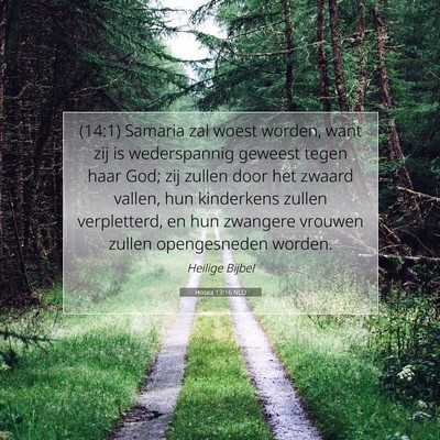 Picture 07 - Hosea 13:16 NLD - (14:1) Samaria zal woest worden, want zij is - Bible Verse Picture