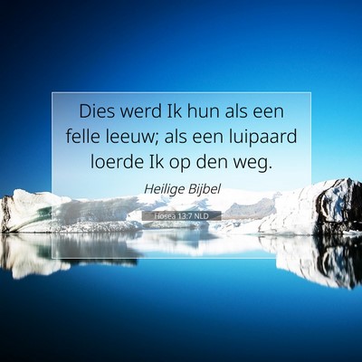 Picture 07 - Hosea 13:7 NLD - Dies werd Ik hun als een felle leeuw; als een - Bible Verse Picture