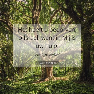 Picture 07 - Hosea 13:9 NLD - Het heeft u bedorven, o Israel! want in Mij is uw - Bible Verse Picture