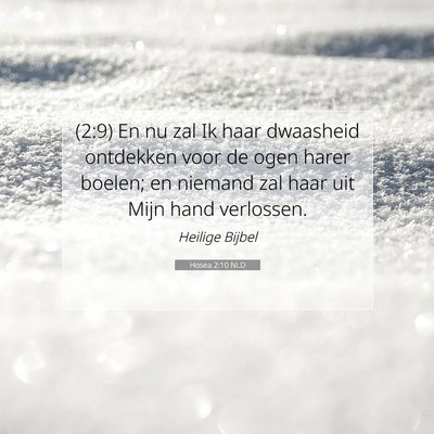 Picture 07 - Hosea 2:10 NLD - (2:9) En nu zal Ik haar dwaasheid ontdekken voor - Bible Verse Picture