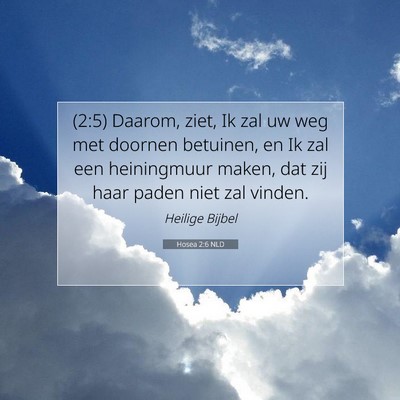 Picture 07 - Hosea 2:6 NLD - (2:5) Daarom, ziet, Ik zal uw weg met doornen - Bible Verse Picture