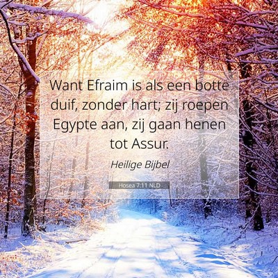 Picture 07 - Hosea 7:11 NLD - Want Efraim is als een botte duif, zonder hart; - Bible Verse Picture