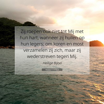 Picture 07 - Hosea 7:14 NLD - Zij roepen ook niet tot Mij met hun hart, wanneer - Bible Verse Picture