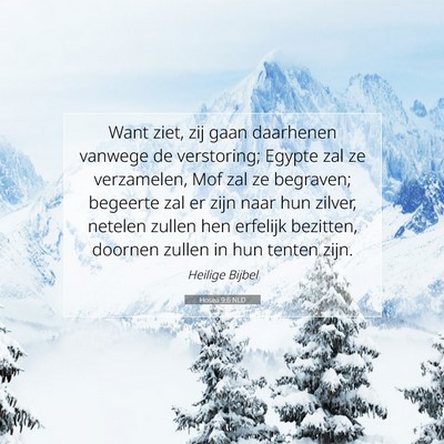 Picture 07 - Hosea 9:6 NLD - Want ziet, zij gaan daarhenen vanwege de - Bible Verse Picture