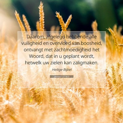Picture 07 - Jakobus 1:21 NLD - Daarom, afgelegd hebbende alle vuiligheid en - Bible Verse Picture